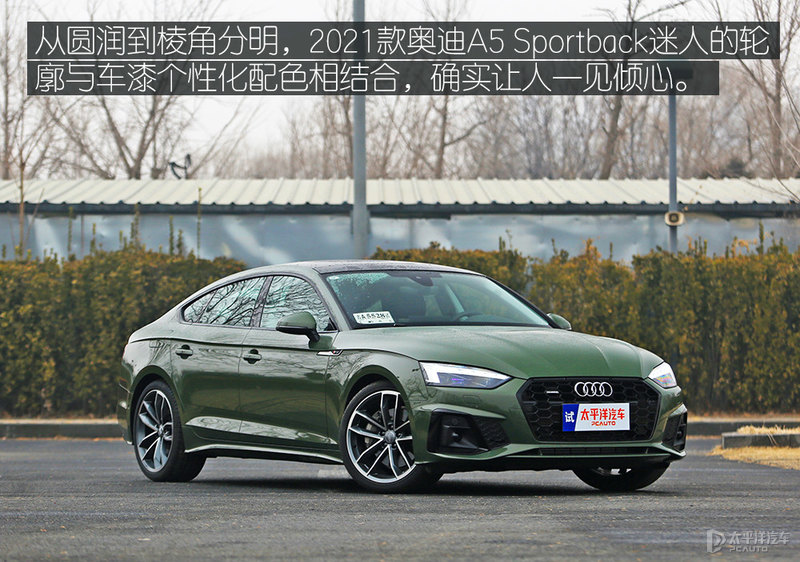 奥迪a5驾驶系统有问题,驾驶奥迪a5老款