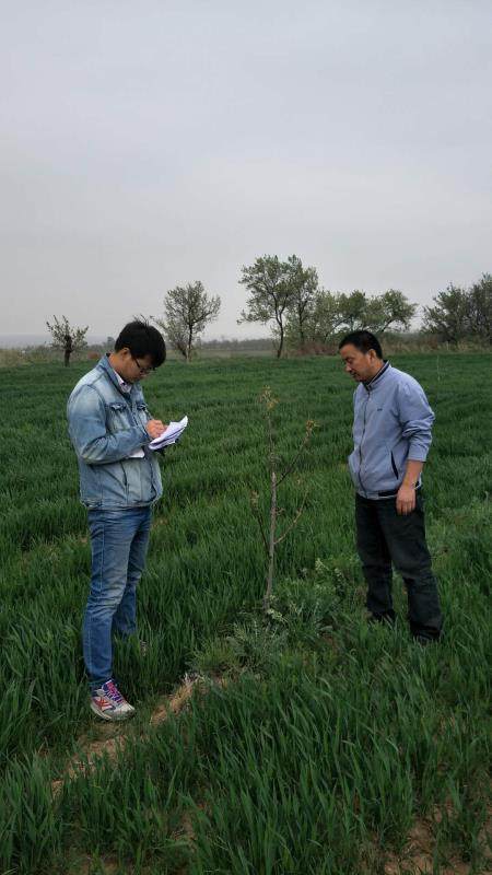 “泥脚子”踩出群众脱贫致富“新路子”记淳化县供电分公司驻耀贤村第一书记王宏建