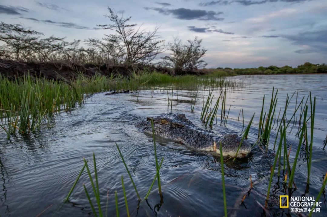 槌勯奔鑱屼笟鐚庝汉,槌勯奔鐚庝汉骞磋柂