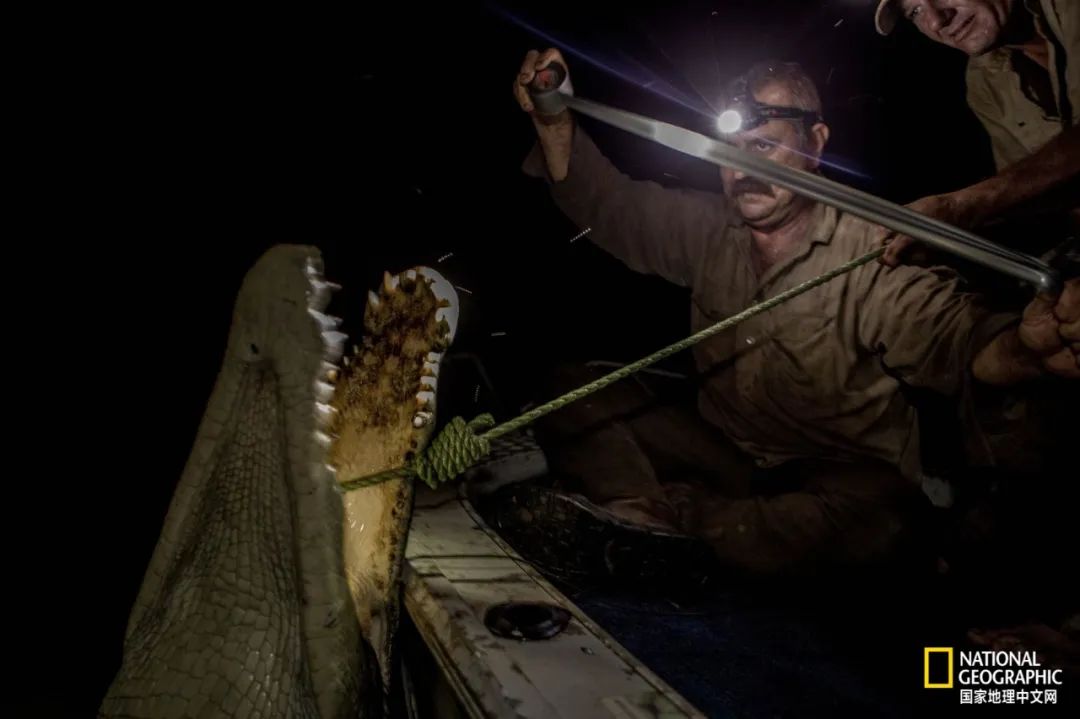 槌勯奔鑱屼笟鐚庝汉,槌勯奔鐚庝汉骞磋柂