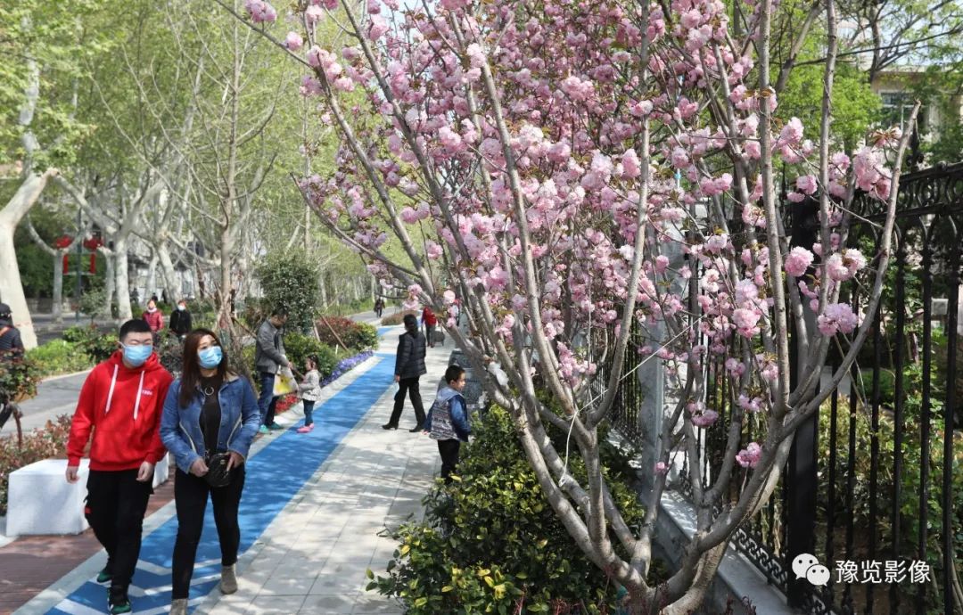 在郑州，遇见美好——刘絮|影像纪年2020（38）