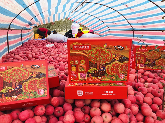 借船出海破茧成蝶新时期乡村振兴的农产业经济发展新模式“西物优品”落户静宁一石激起千重浪