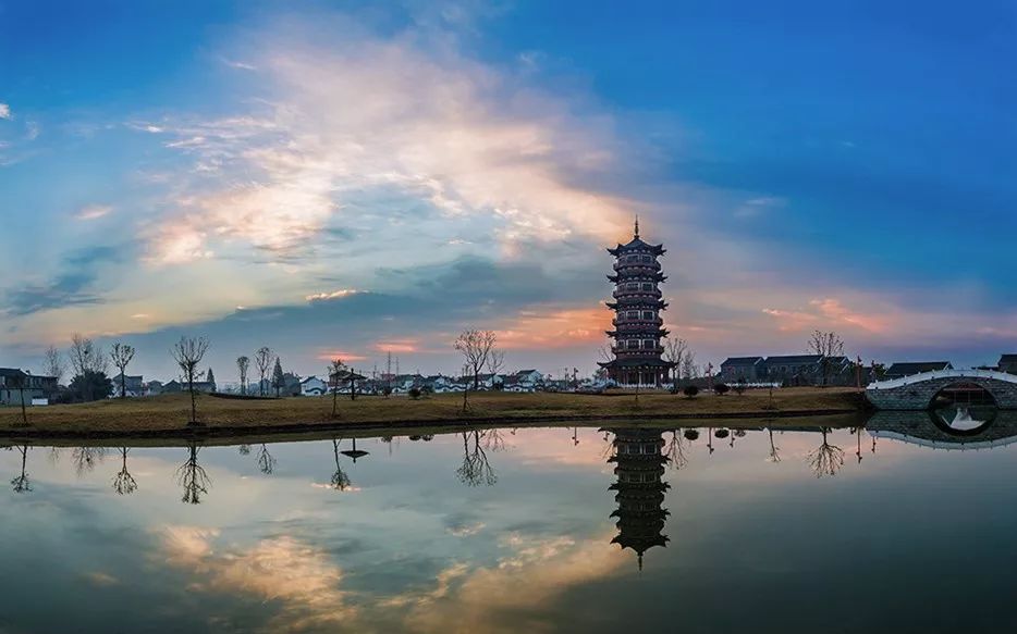 带你看盐城风景,牛年看牛展2021新春展等你来打卡