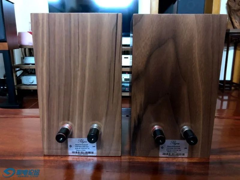 令人十分惊艳的小精灵,家电论坛版主帖子精选