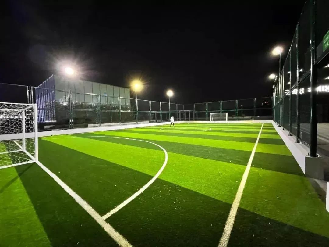 体育公园真人秀,网红体育公园