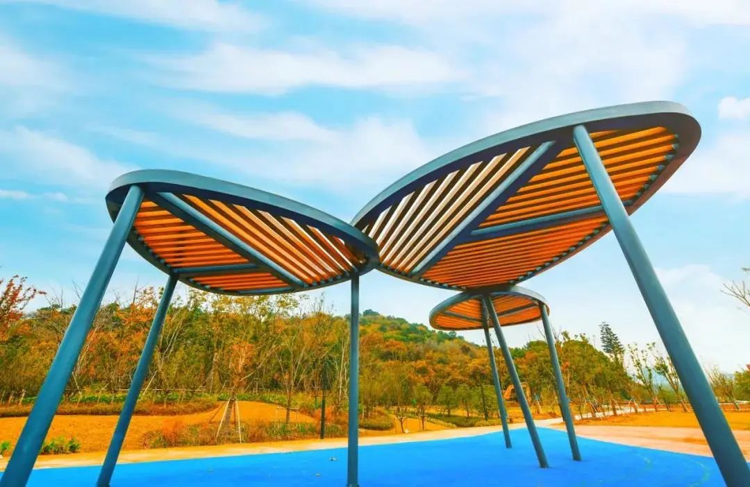 体育公园真人秀,网红体育公园