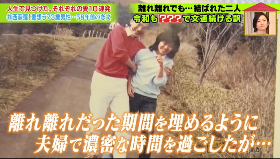 在泳池一见钟情，为妻子毅然辞职，这是一段持续58年来自日本的神仙狗粮…