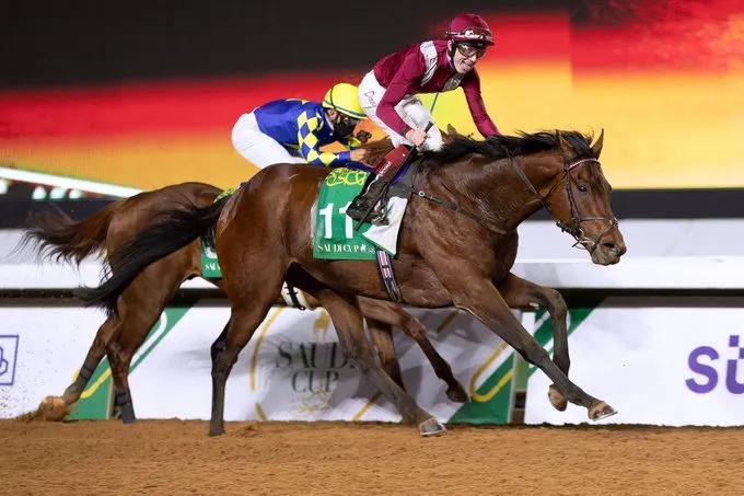 世界杯迪拜vs阿根廷,迪拜世界杯赛程