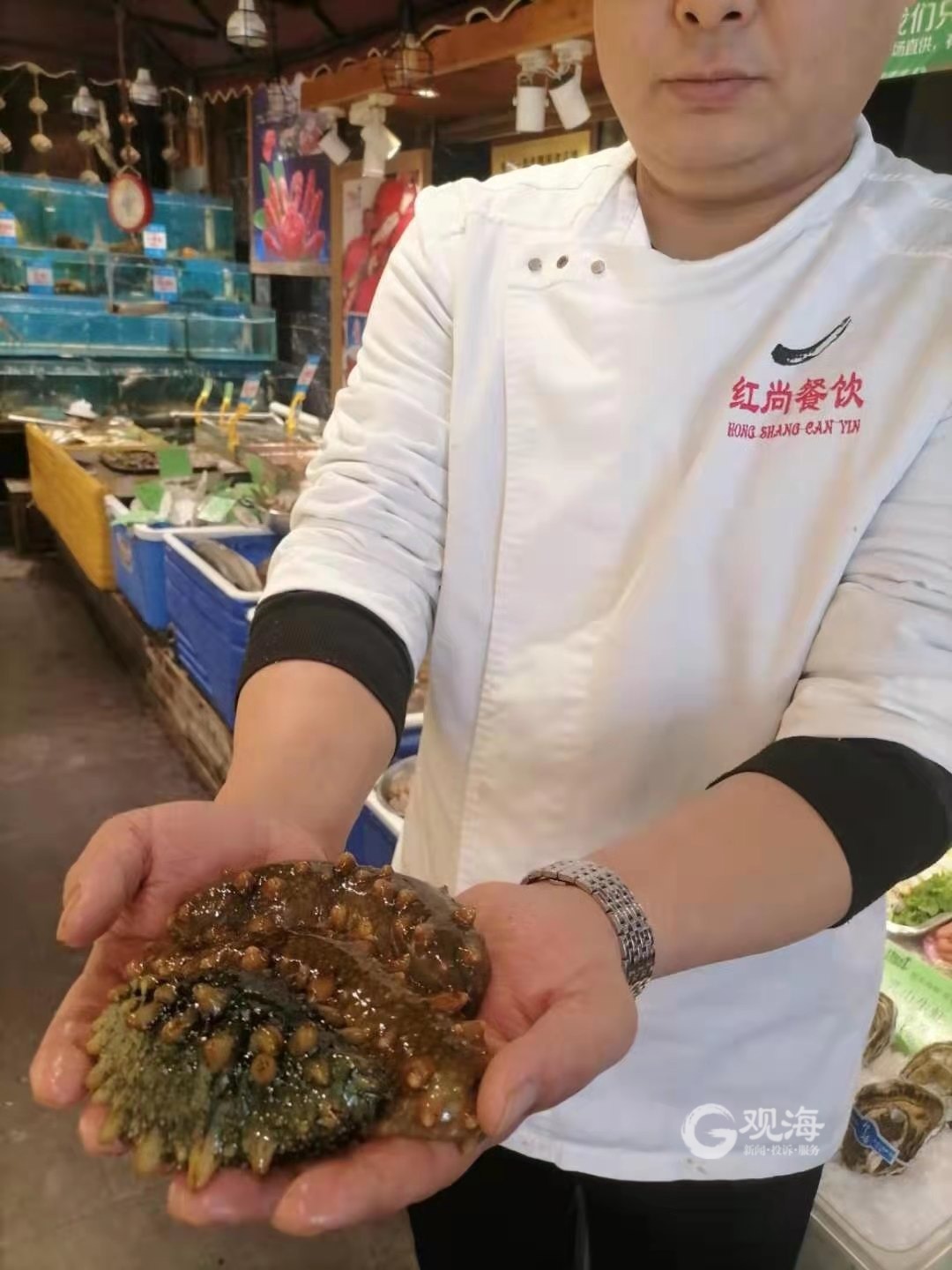 海参价格差异原因,正宗青岛海参多少钱一斤