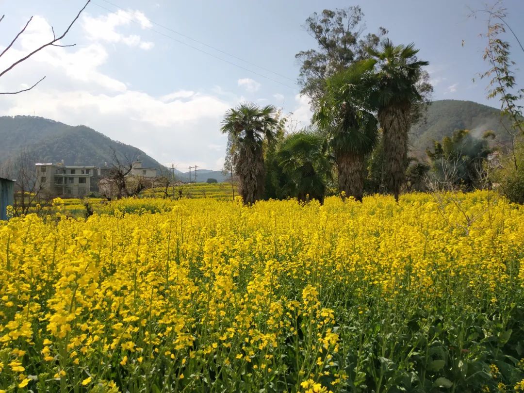备战春耕学习好农业技术,春耕时节育苗忙特色种植促增收
