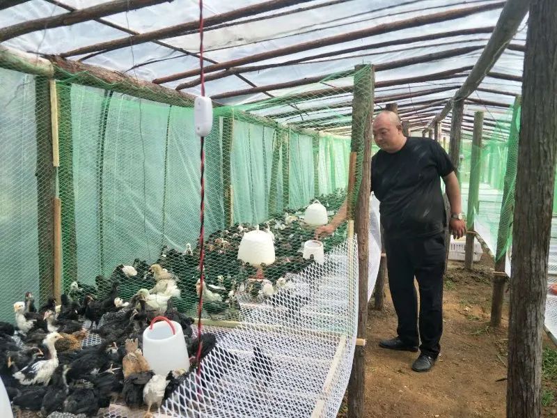 中国好人榜2022年恩施州 (恩施市1人荣登中国好人榜)