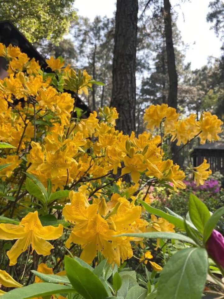 杭州绿道路线图,杭州青山湖绿道