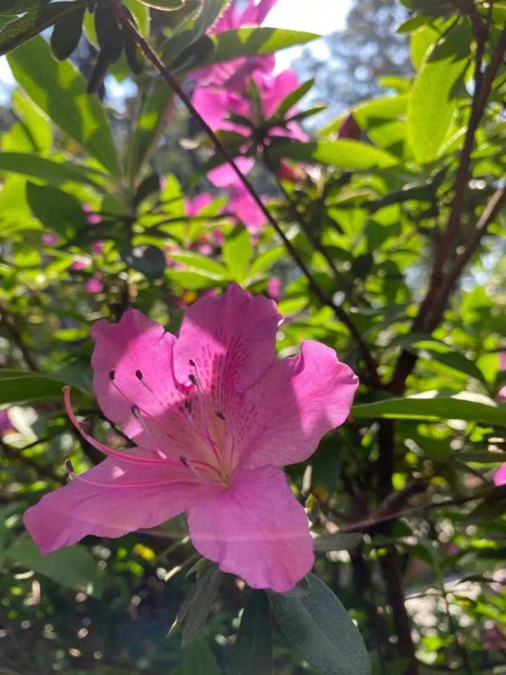 杭州绿道路线图,杭州青山湖绿道