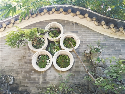 清晖园到顺德人家,清晖园园林景观