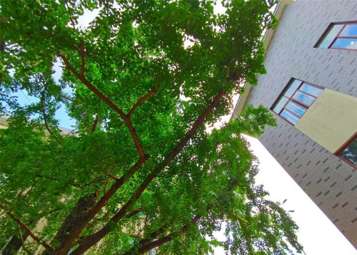 医护最美瞬间随手拍,医院最美照片