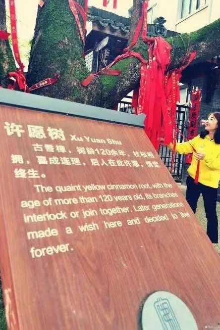 义乌美食及景点,义乌一日游必打卡美食