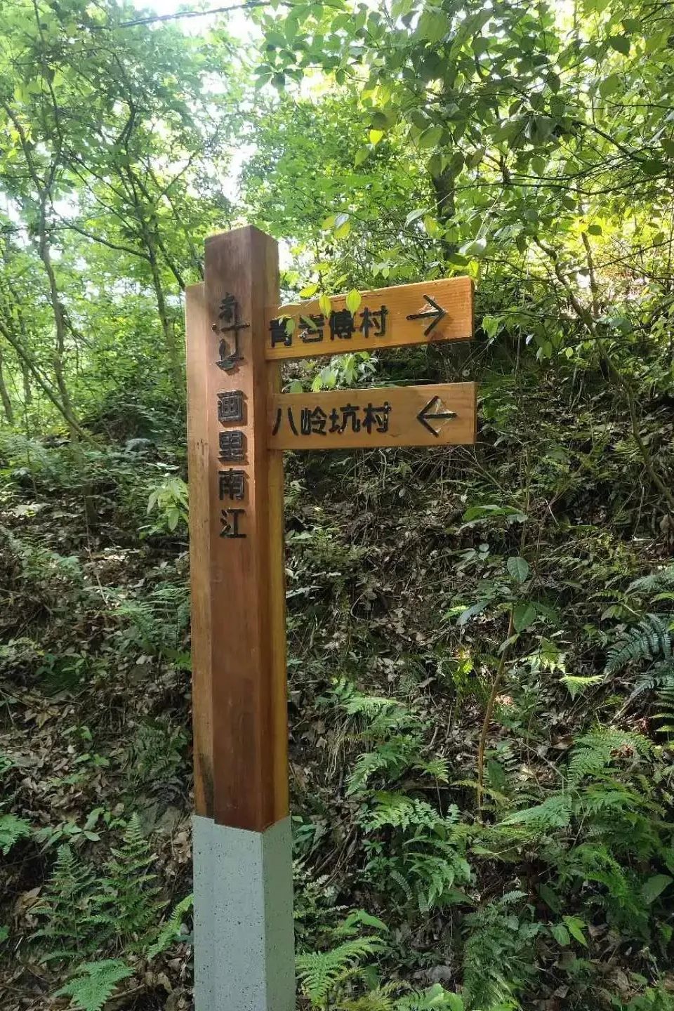 义乌美食及景点,义乌一日游必打卡美食