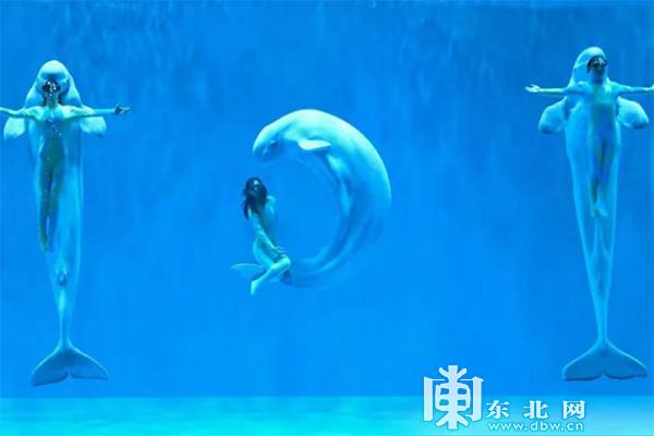 黑龙江省151项文旅惠民“大礼包”带你嗨玩五月