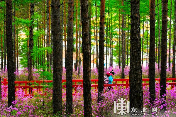 黑龙江省151项文旅惠民“大礼包”带你嗨玩五月