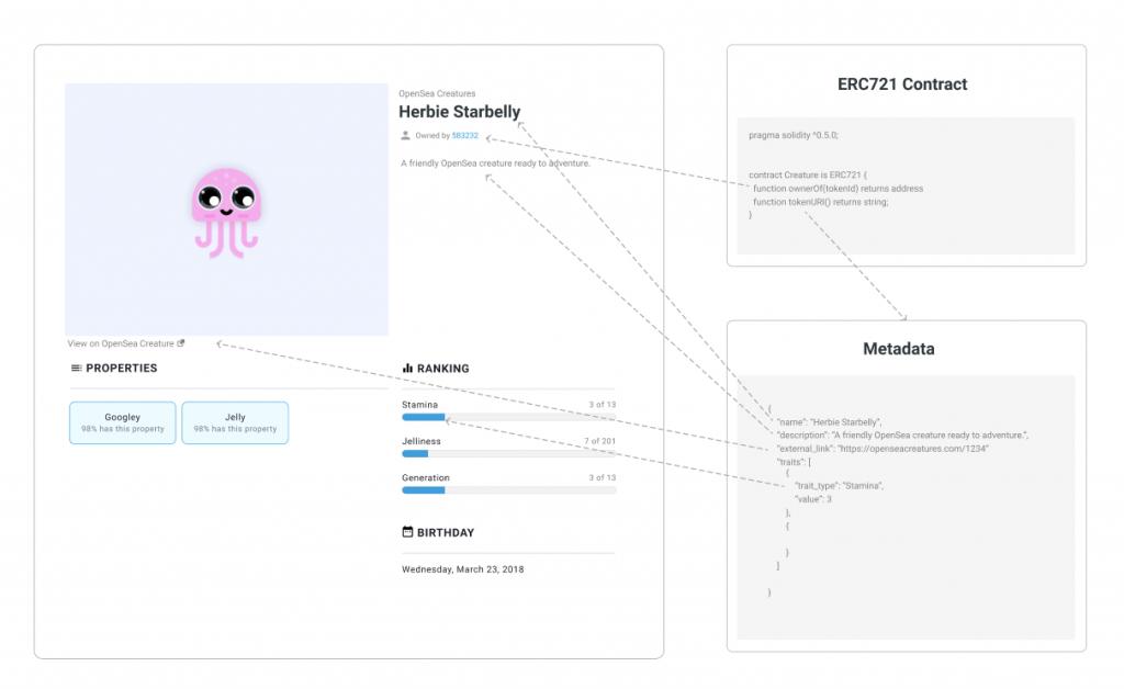 nft通俗易懂的讲解,初学圣经怎么入门