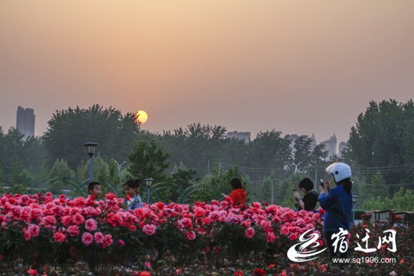 沭阳:“城市客厅”托起“家门口”的幸福感