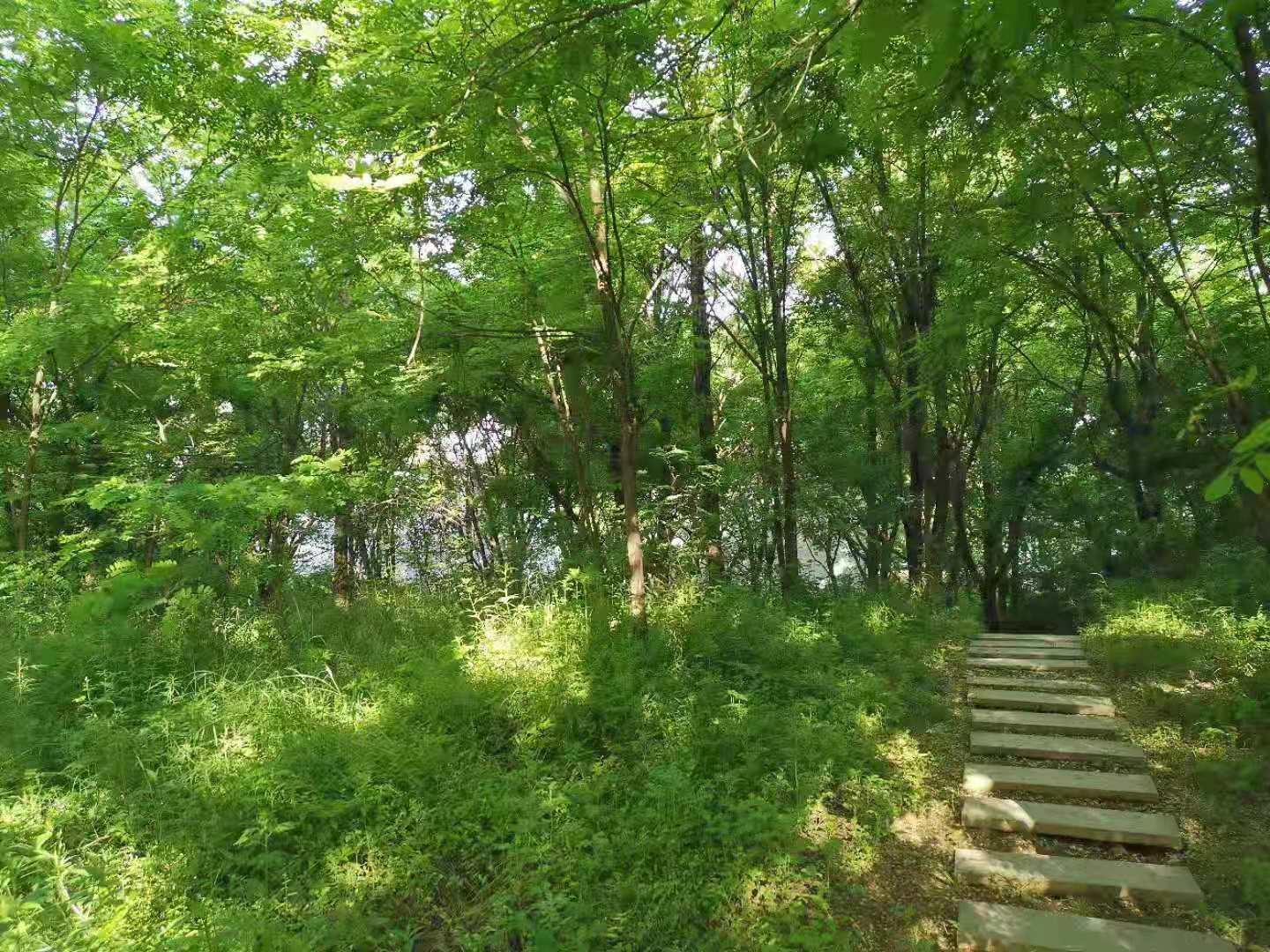 咸阳存留的古镇,咸阳人间仙境