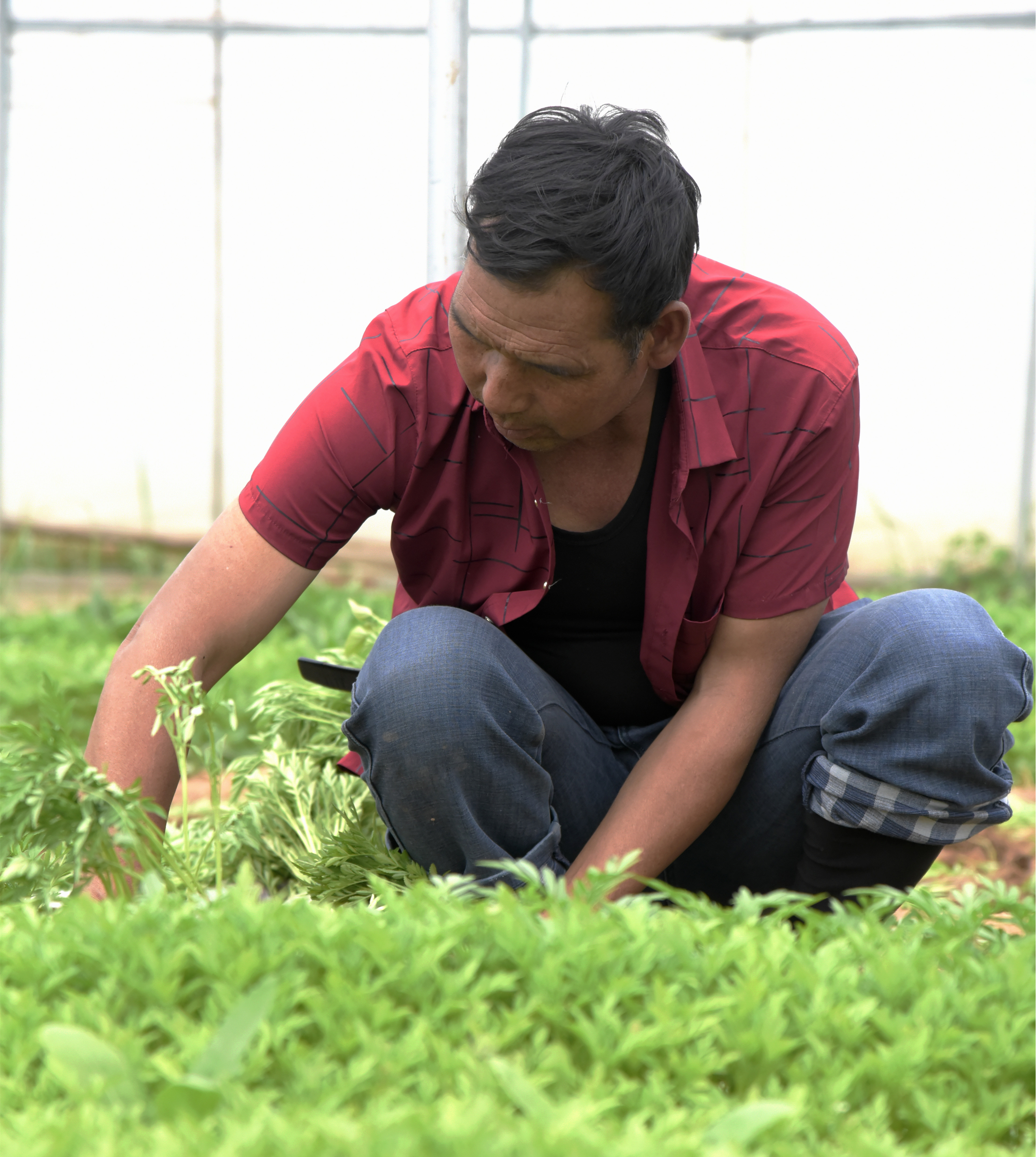 神州巡礼｜甘肃：有一种沧桑之变叫“如意”