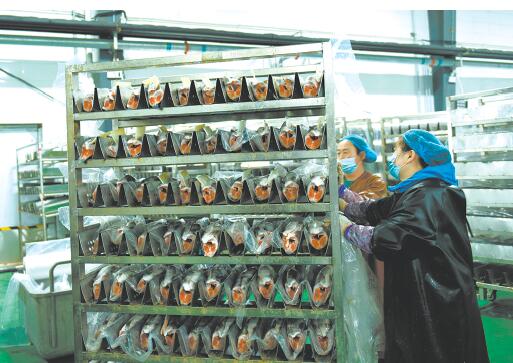 高峡出平湖幽谷成仙境,高峡出平湖平湖指哪