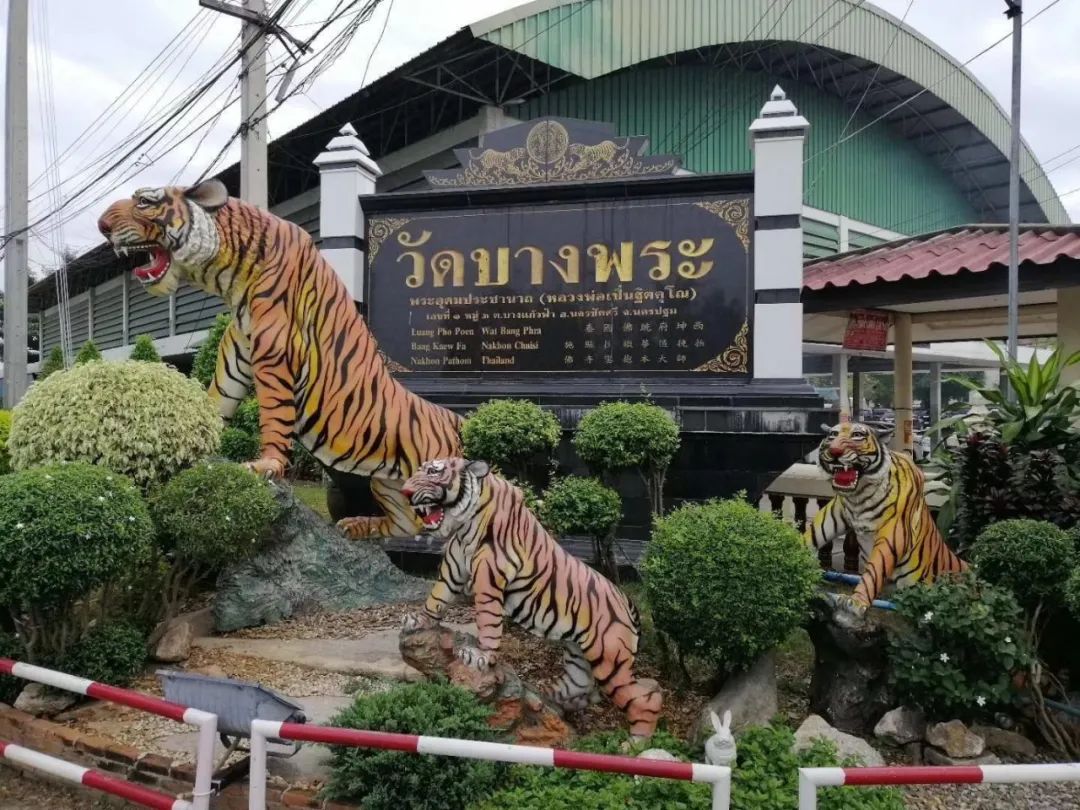 跑腿费4000元,跑腿费330