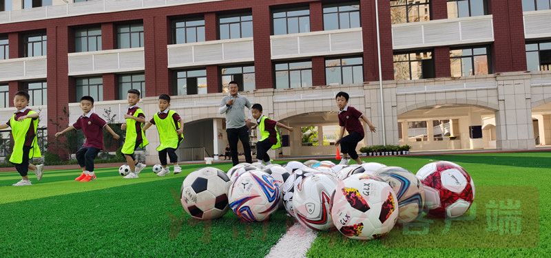 金观察,金观察的最新视频