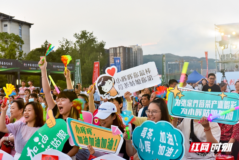 寻找最美莓茶菇凉,湖南张家界莓茶最美姑娘