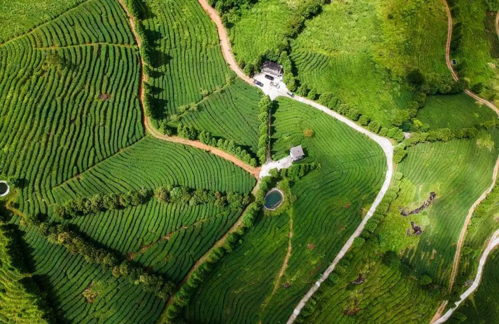 领万元礼包开奖,今日头条免费获得一元红包