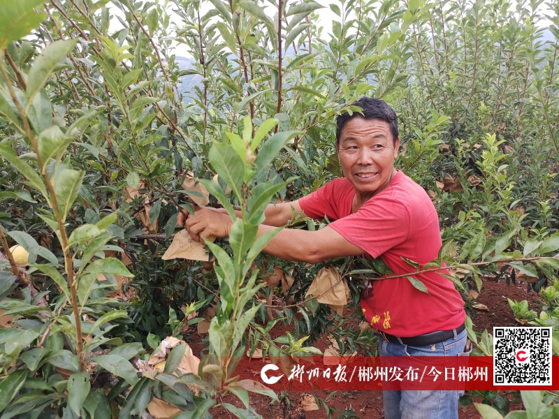百姓故事｜奋斗在幸福路上——汝城县果农李幸福、李文权父子与“幸福农场”的故事
