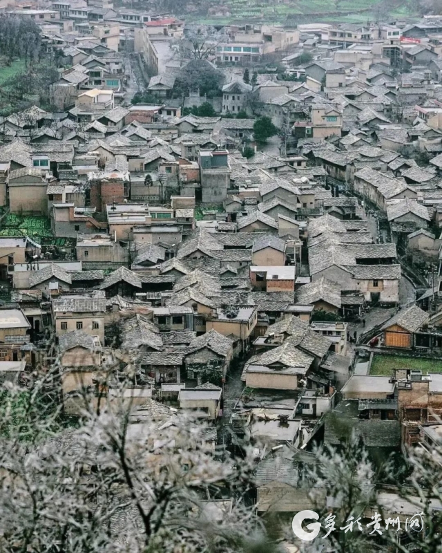 彩云之南云上贵州,真正的云上贵州