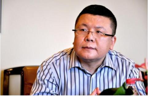 伊美尔美容院丰胸事件,伊美尔上市风波