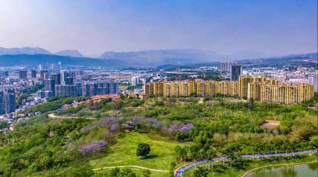 打好绿色牌,打好绿色发展底色