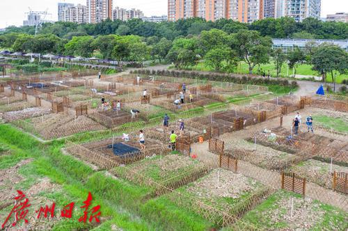 广州海珠区农田园,广州大都市农业园