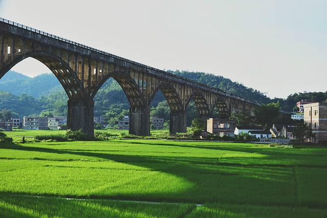 路过人间无非一瞬间歌曲,路过人间无非一瞬间舞蹈