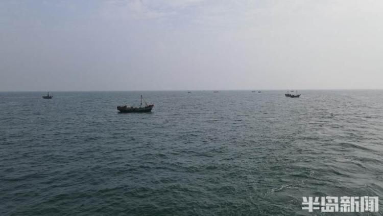 半岛聚焦丨从网捕到上码头仅1小时，最新鲜的“小船海鲜”怎么捕来的？