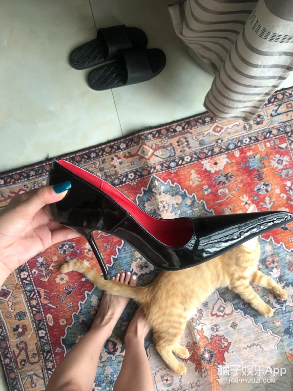 王源设计过的东西,王源设计的东西