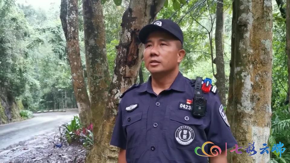 西双版纳热带雨林里有哪些毒水蛇,福建眼镜蛇是国家几级保护动物