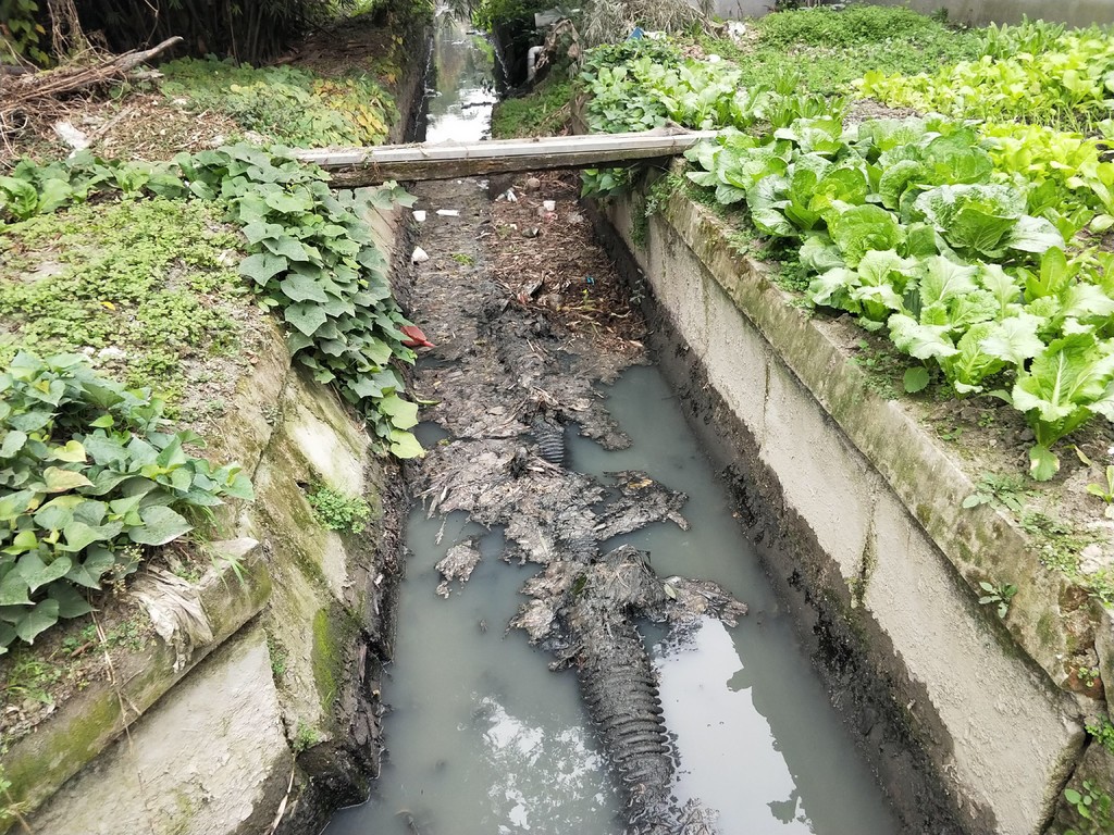 四川省生态环境保护整改清单,四川生态环保最新消息