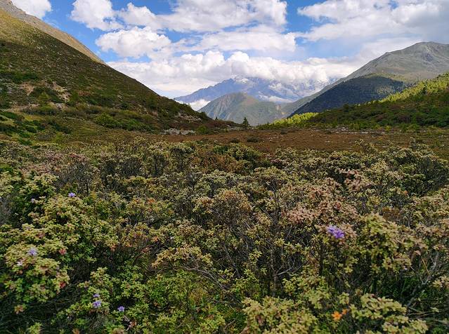 康定情歌木格措风景区自驾攻略,康定情歌木格措风景区舞蹈
