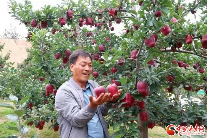 陇南礼县为什么叫秦皇故里,陇南礼县秦皇故里视频