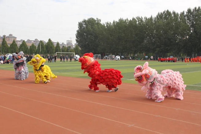 安阳市市长杯足球联赛高中,2021年安阳市市长杯足球比赛小学