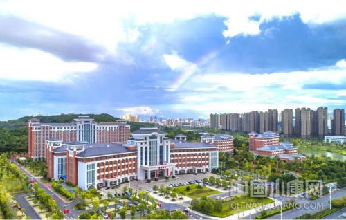 为中华振兴贡献力量,为推动中华文明复兴贡献青春力量