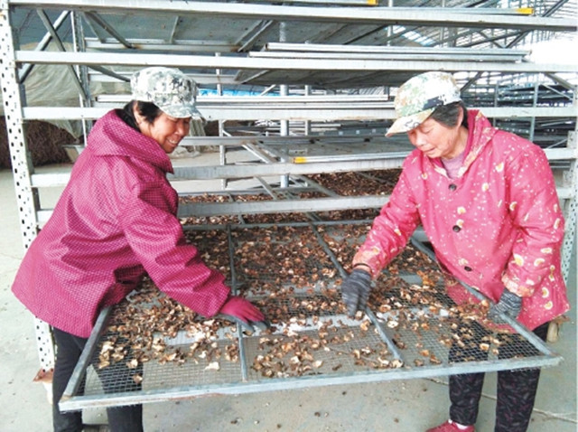 外眼看,护大河之洲引百鸟来栖