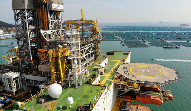 生态湿地百鸟来栖视频,护大河之洲引百鸟来栖