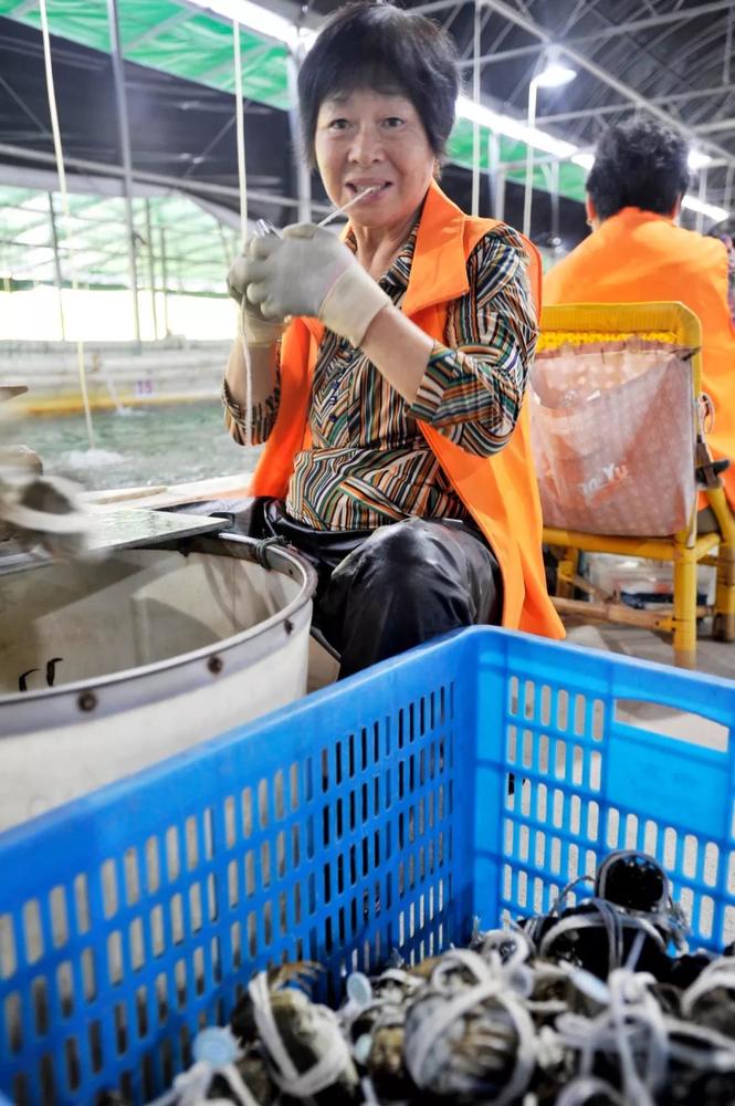 苏宁易购官网阳澄湖大闸蟹,苏宁签约阳澄湖大闸蟹