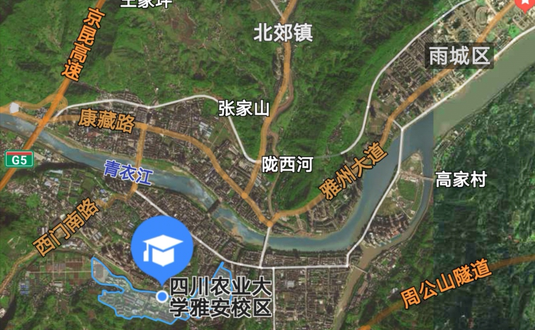 闆呭畨涓轰粈涔堣绉颁负闆ㄥ煄,闆呭畨闆ㄥ煄涓轰粈涔堝彨闆ㄥ煄